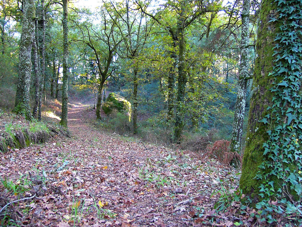 Quinta Da Prova Vila Arcos de Valdevez Exterior foto